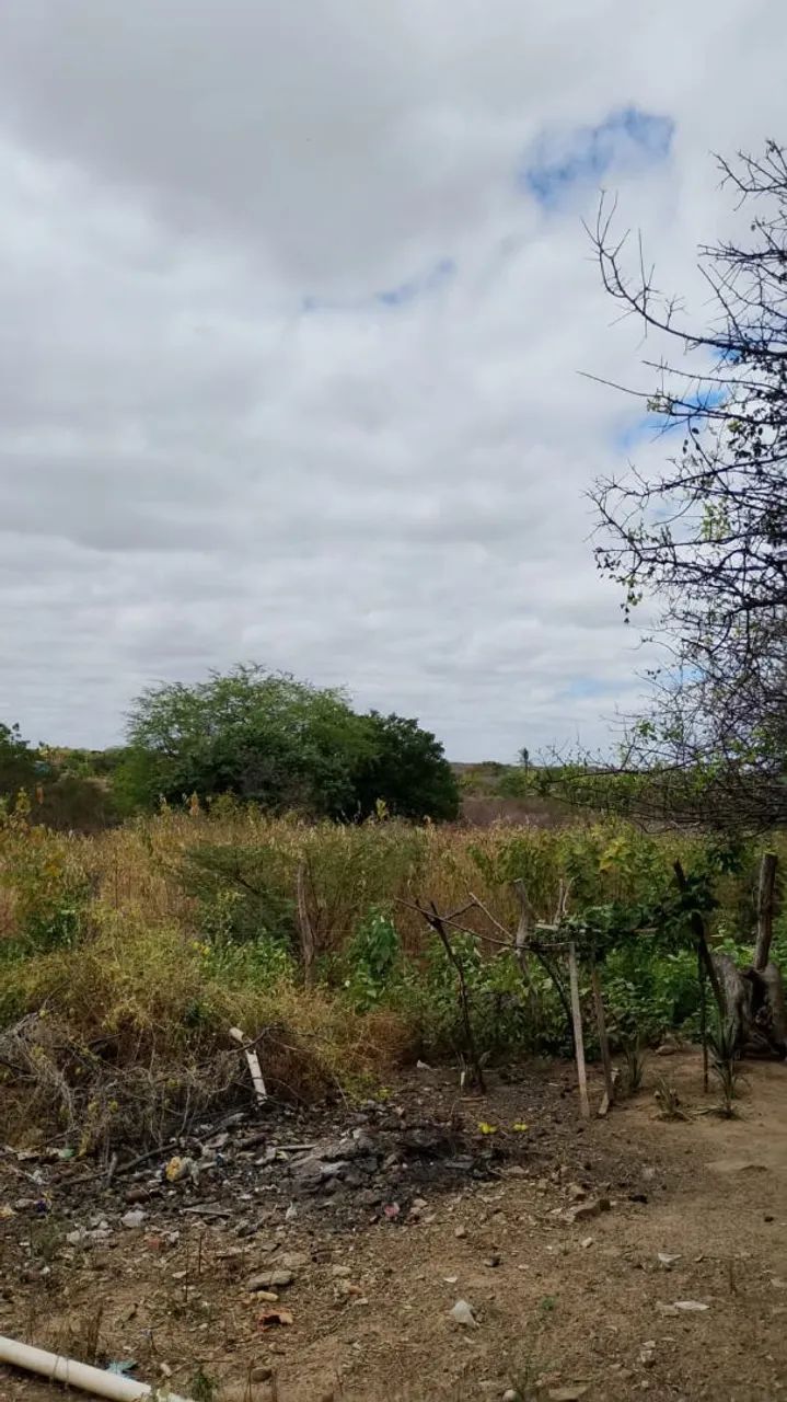 Terreno a venda  - Foto 4