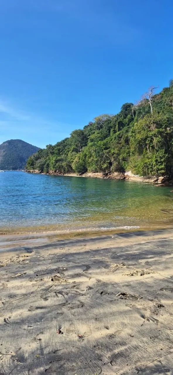     PASSEIO DE LANCHA  - Foto 8