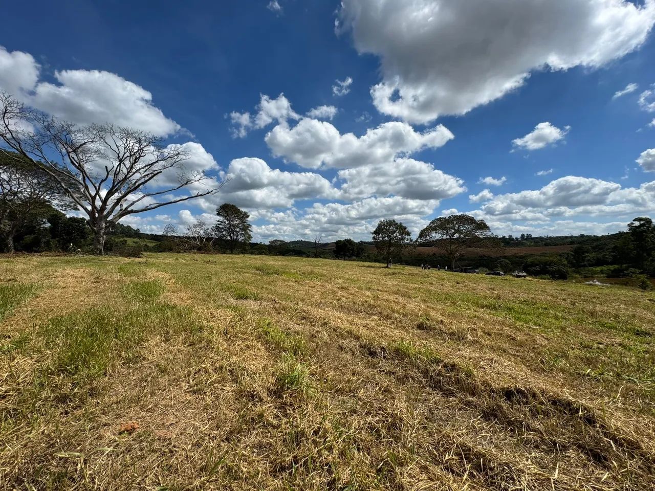 Terreno de 5 mil metros em itaguara  - Foto 4