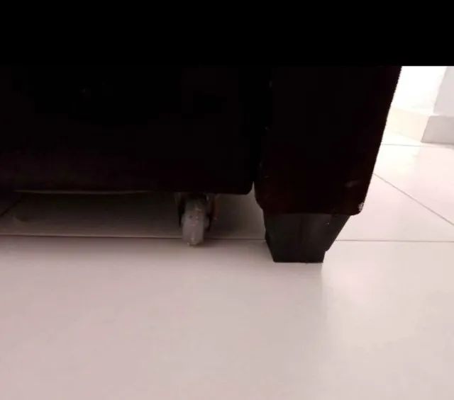 Sofá cama - Foto 4