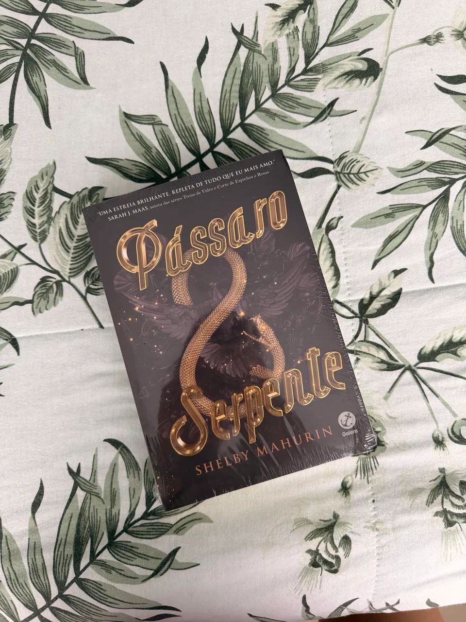 Livro Pássaro e Serpente (Novo)