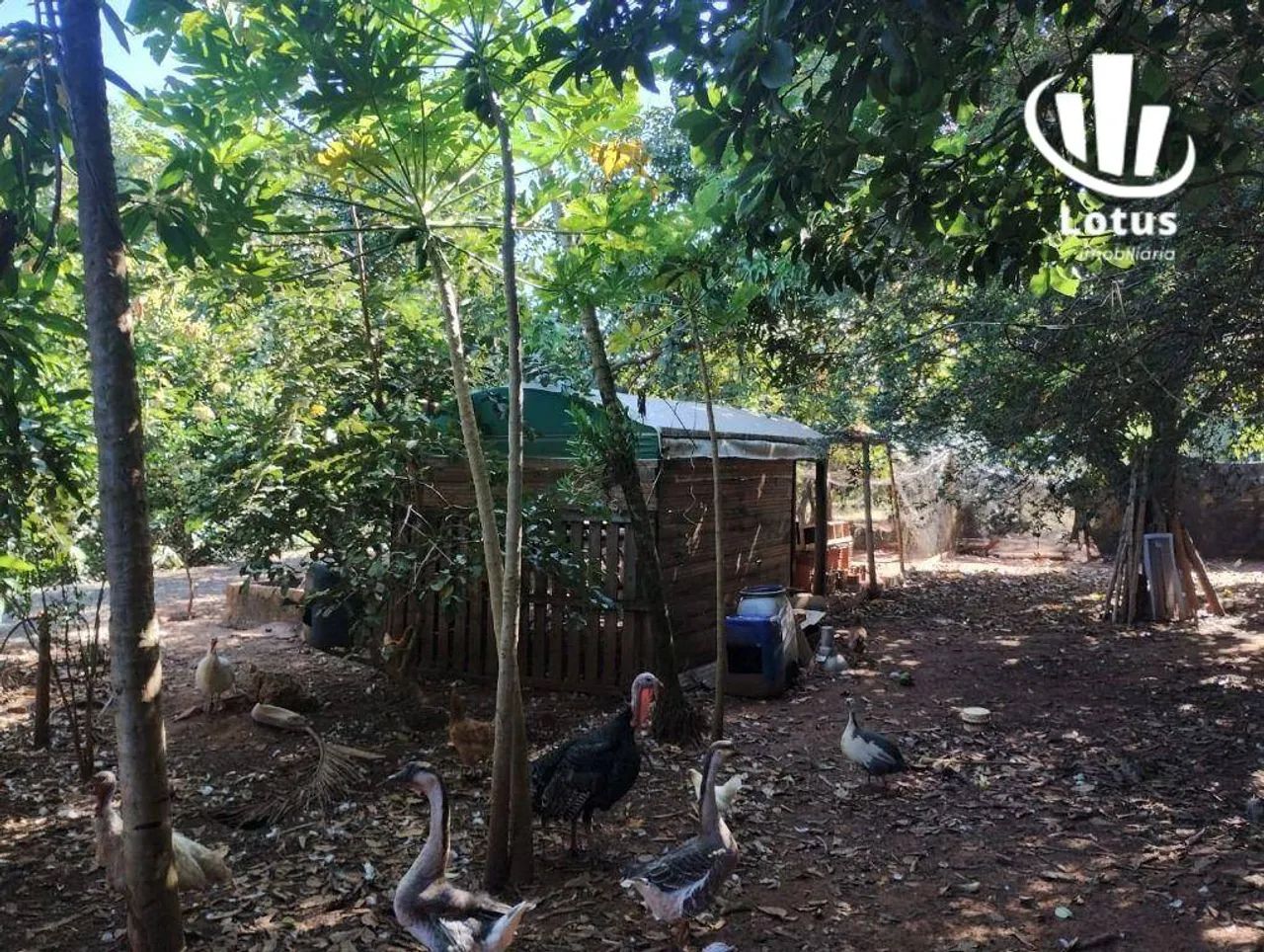 Chácara à venda, 1000 m² - Chacara - Artur Nogueira/SP - Foto 2