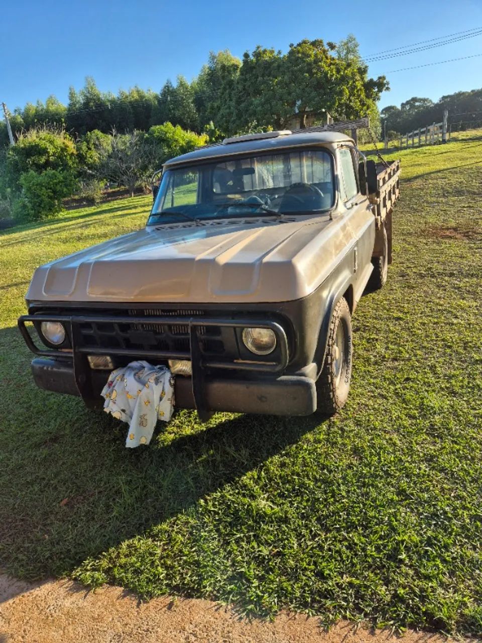 D10 diesel  - Foto 4