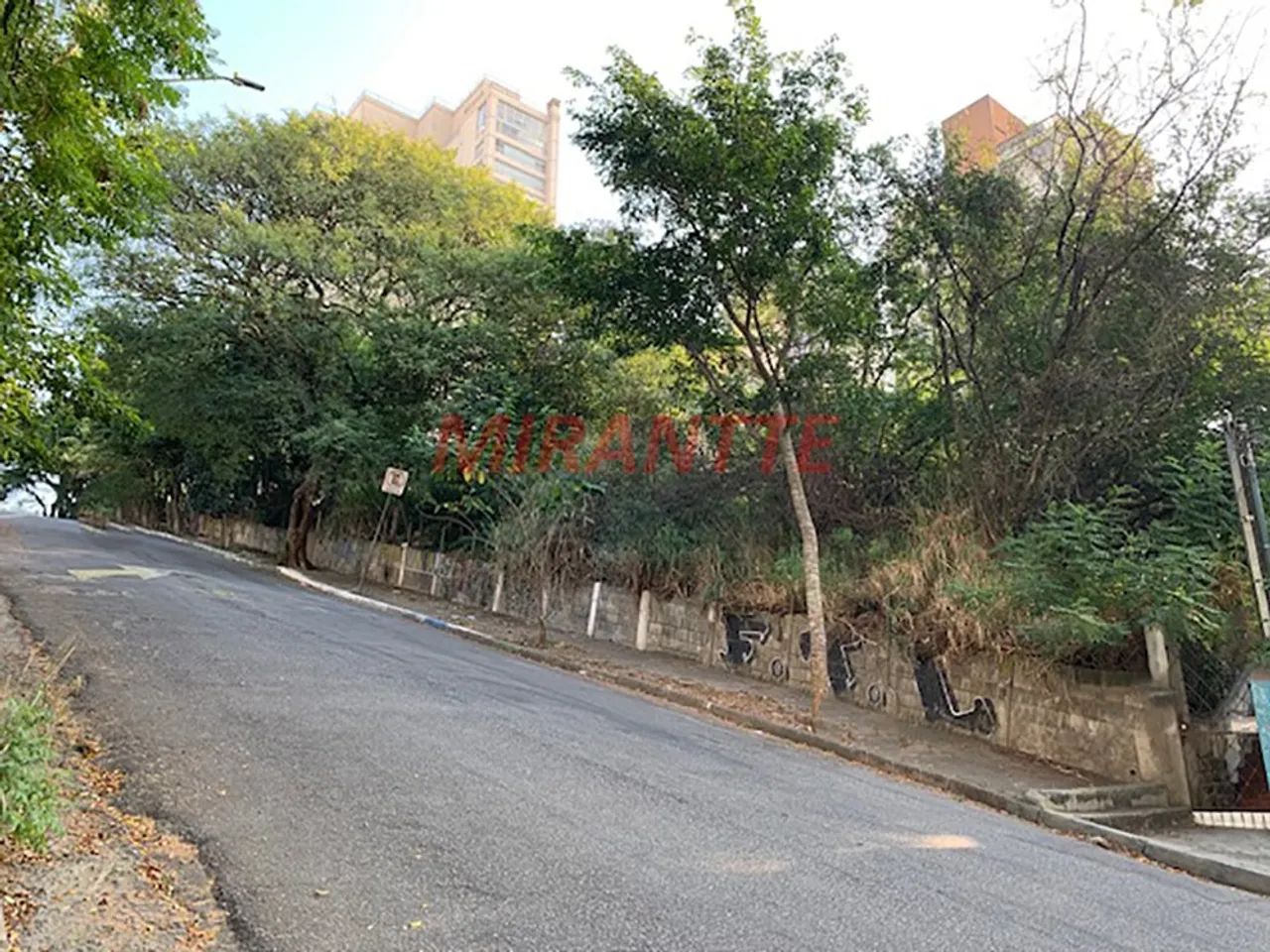 Terreno de 235m² em Sumaré - Foto 5