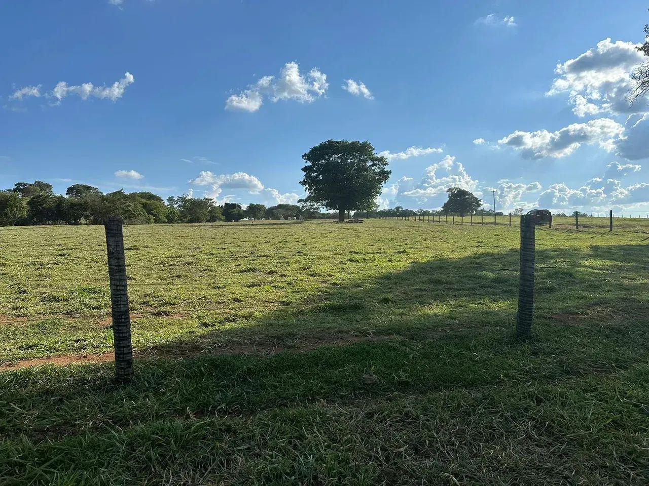 Fazenda 15.5 alqueires - Goianápolis - GO - Foto 5