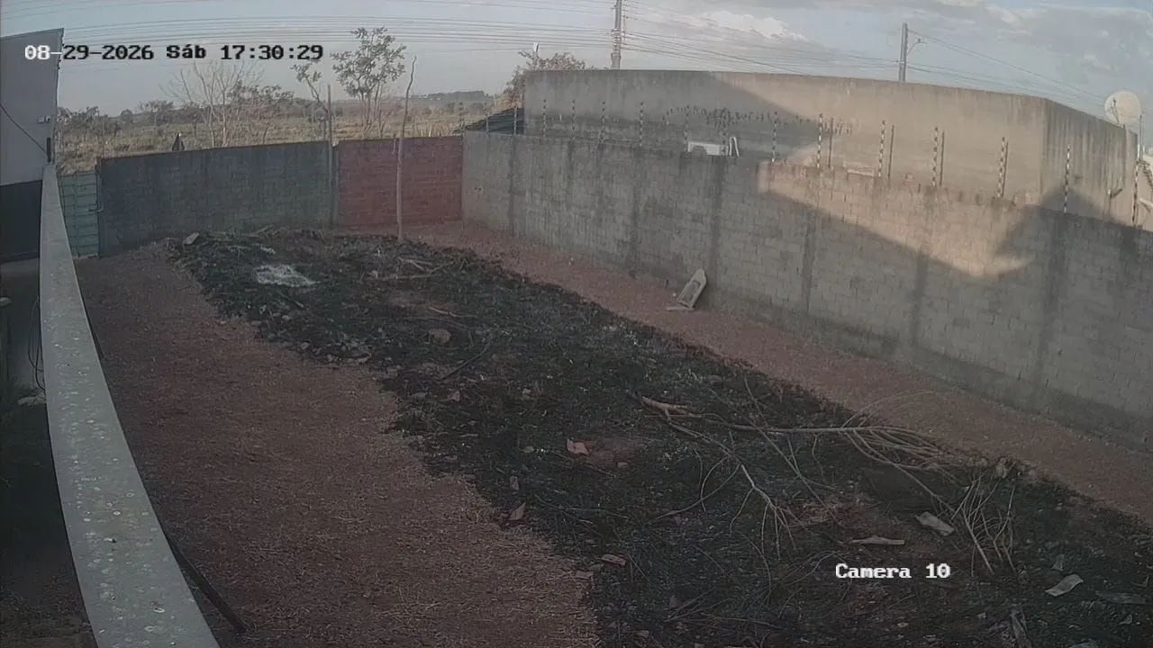 Capinagem  - Foto 2