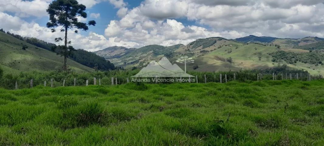 Belíssima Chácara de 5.000 m2 com platô de 3.500m2. Delfim Moreira MG - Foto 10