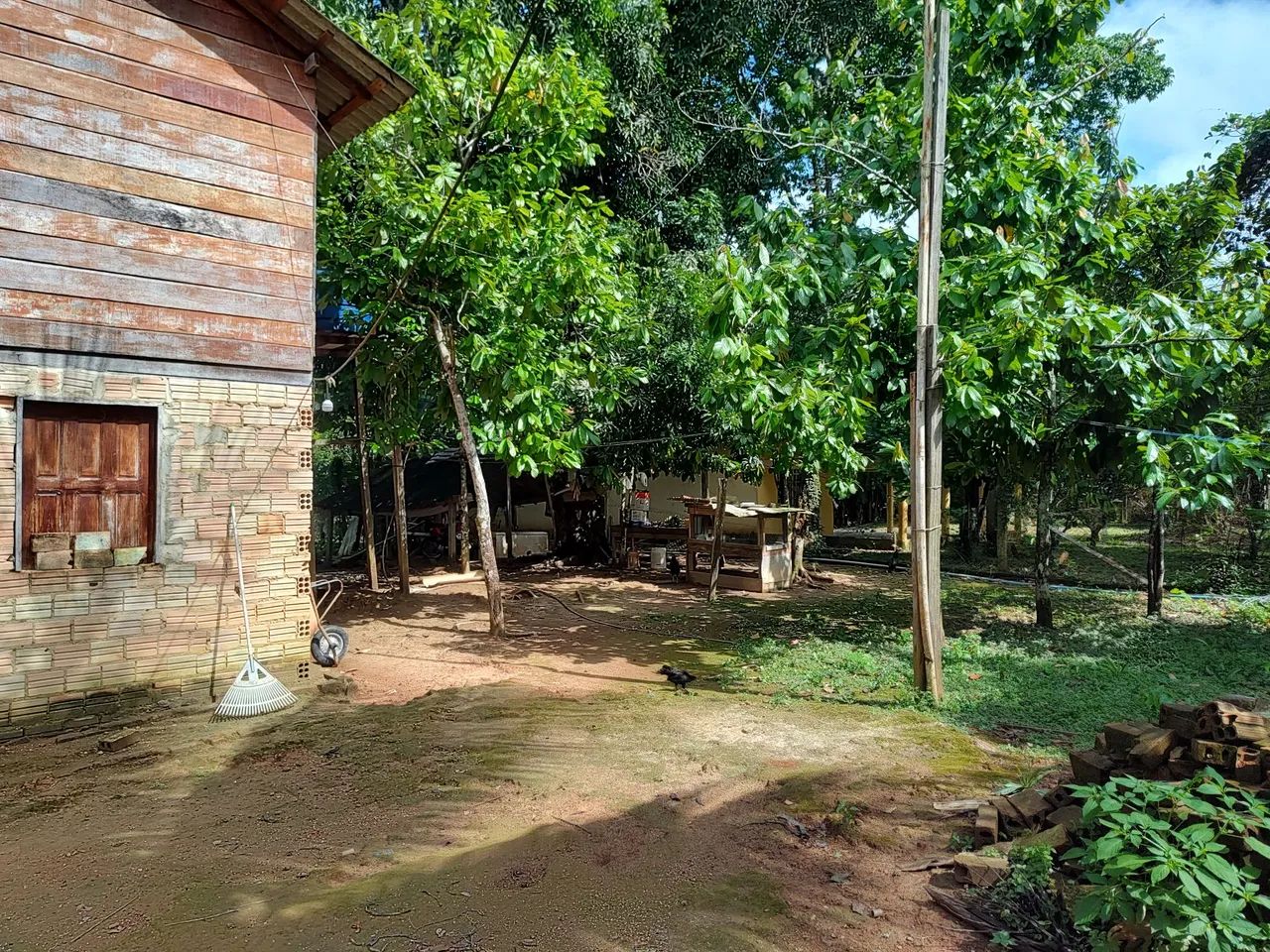 Vendo ou troco chácara na beira do rio mucajaí  - Foto 5