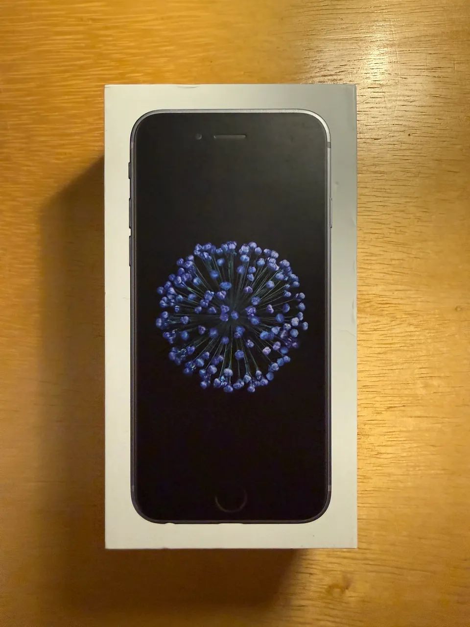 Caixa Vazia - iPhone 6 - 64GB - Cinza Espacial