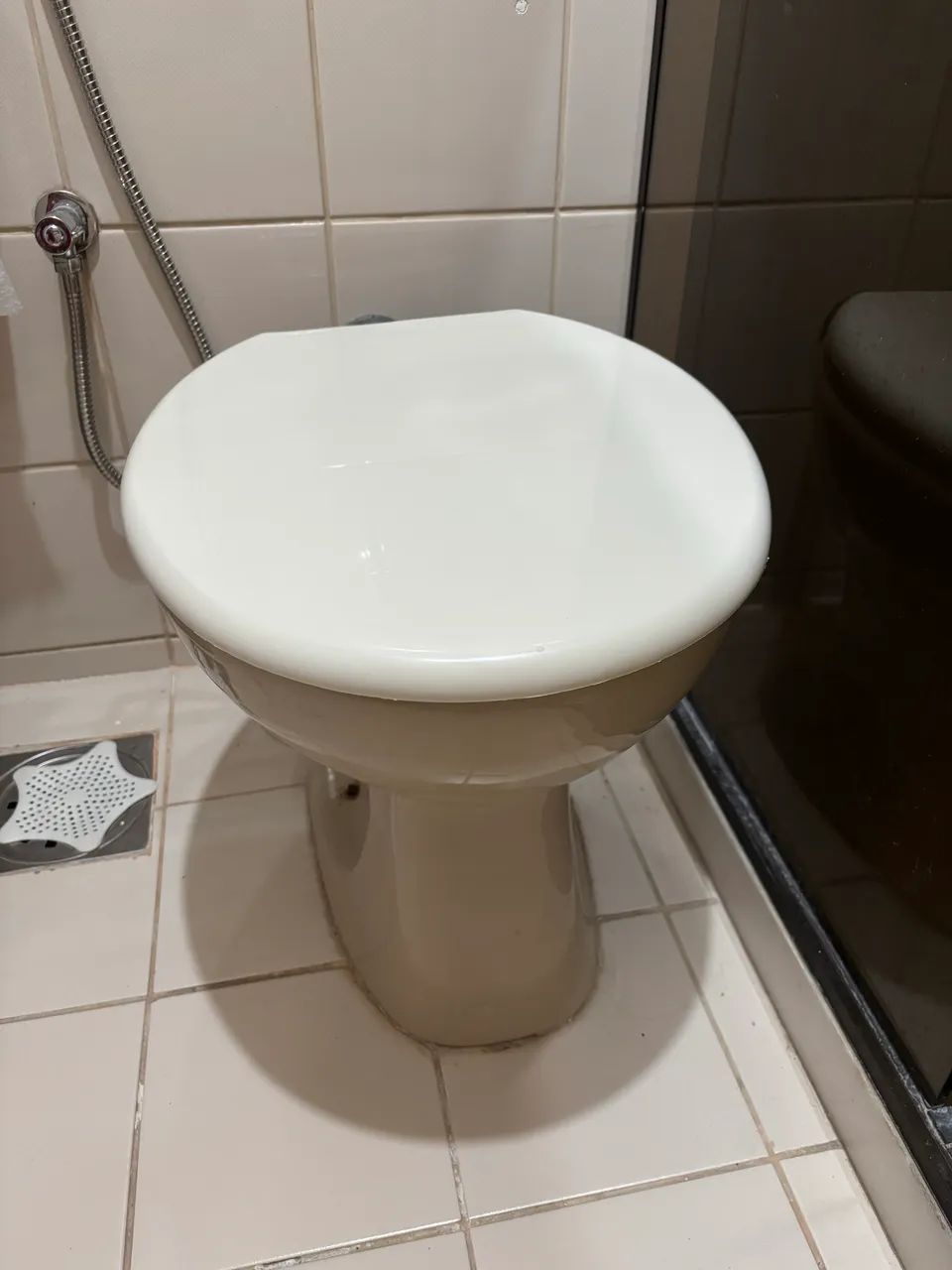 Toilet with new plastic lid