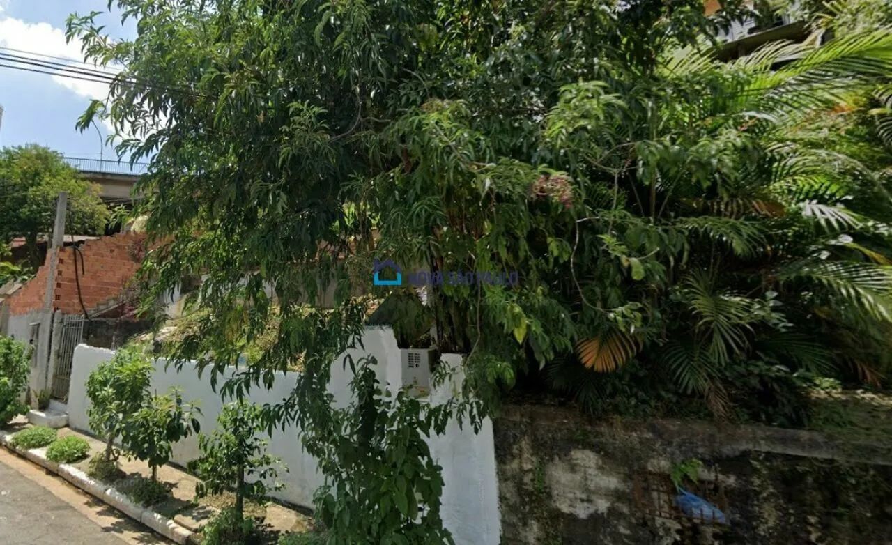 Terreno - Bosque da Saúde - 250 m² - Foto 4