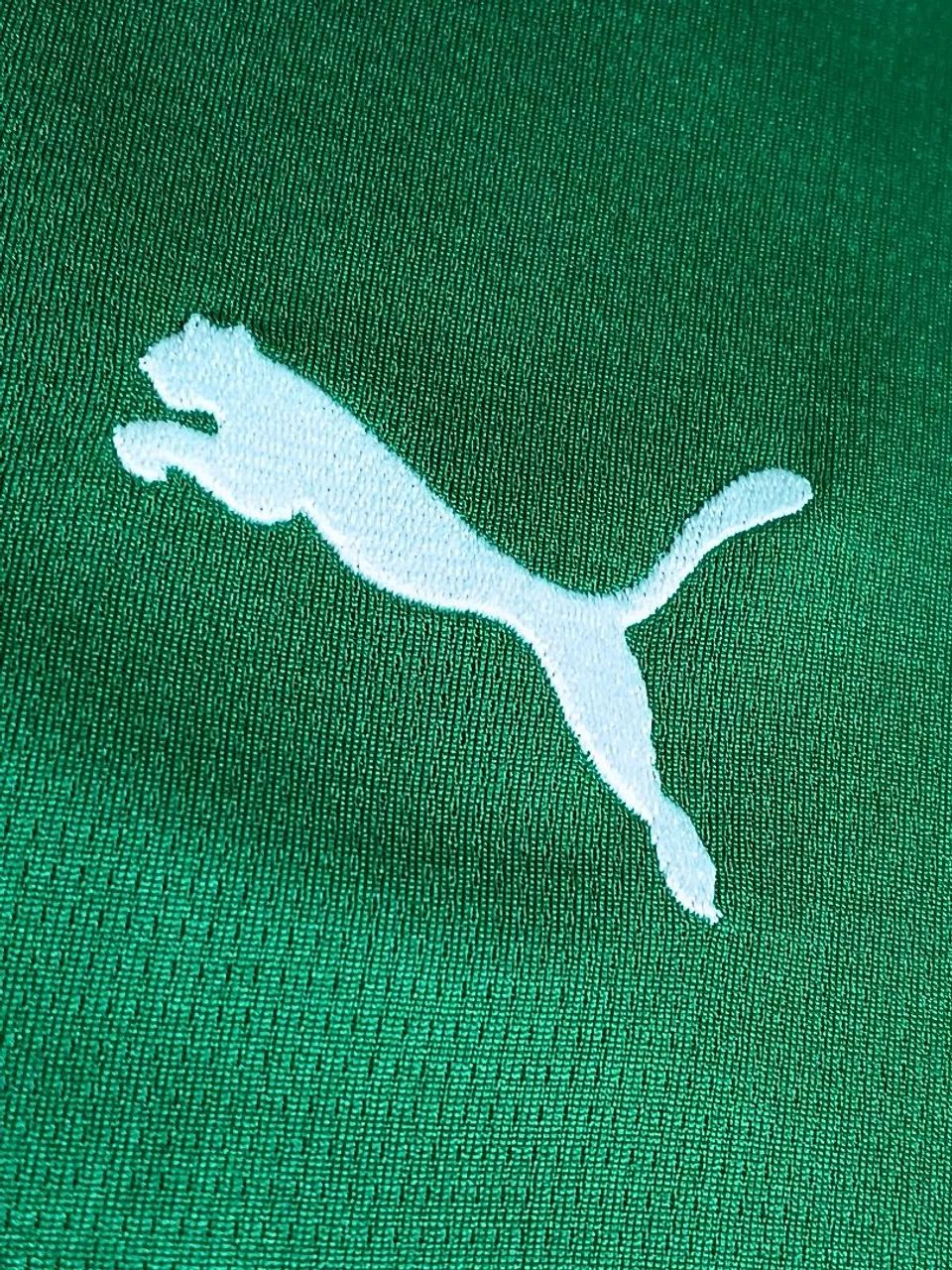Camisa palmeiras 26/27 torcedor - Foto 2