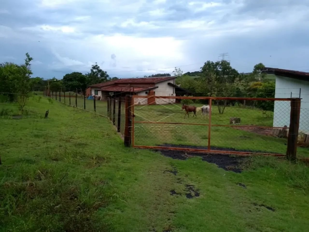 Sítio - Guaianás