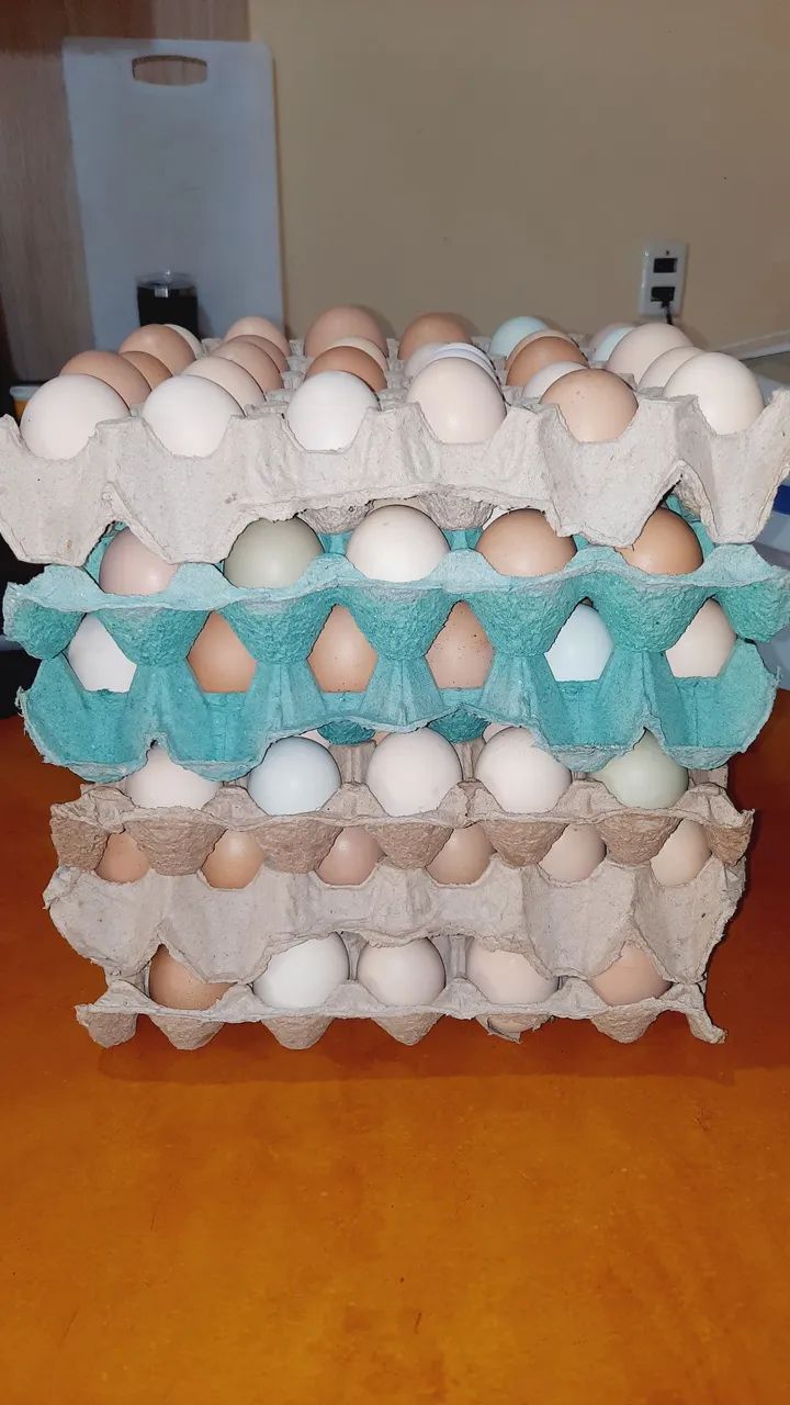 Ovos caipira  - Foto 4