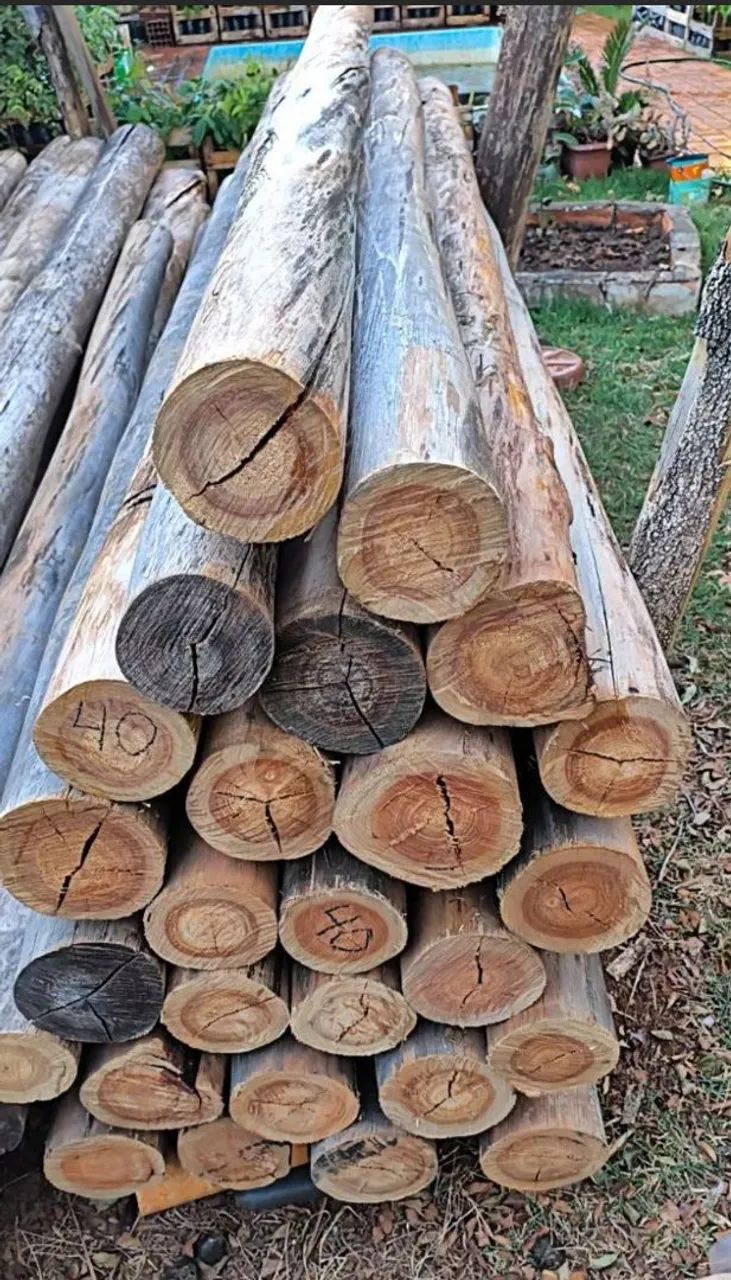 Postes madeira de eucalipto  - Foto 2