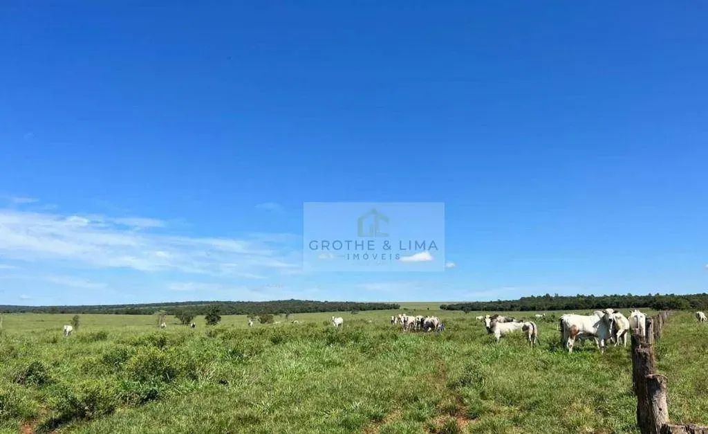 Fazenda à Venda  118 Alqueires  Batayporã/MS