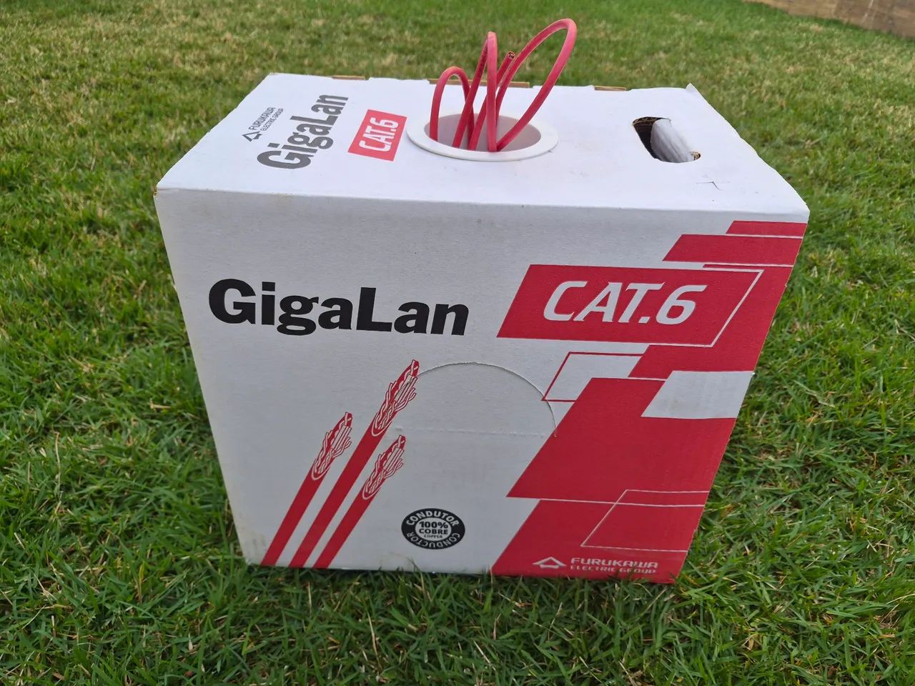Cabo de Rede Cat6 Gigalan Furukawa, 84 Metros