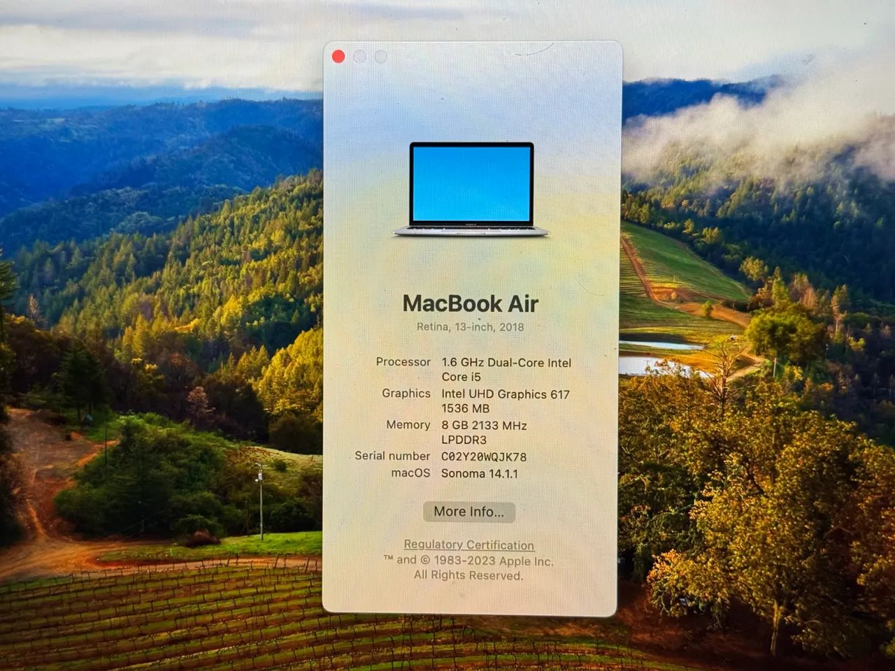 Macbook air 2018 i5 8gb de ram ssd de 256gb - Notebooks - Panorama