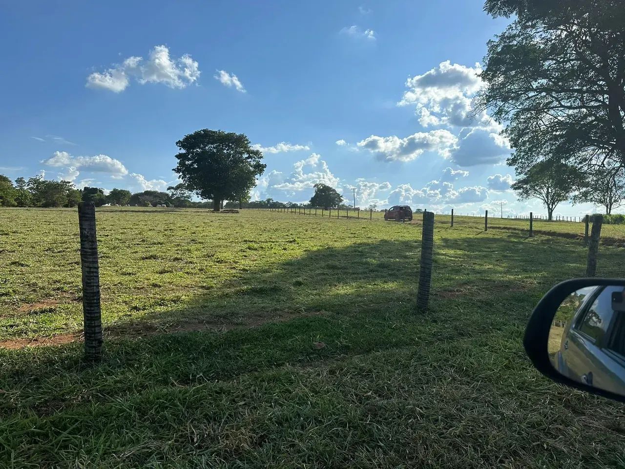 Fazenda 15.5 alqueires - Goianápolis - GO - Foto 4