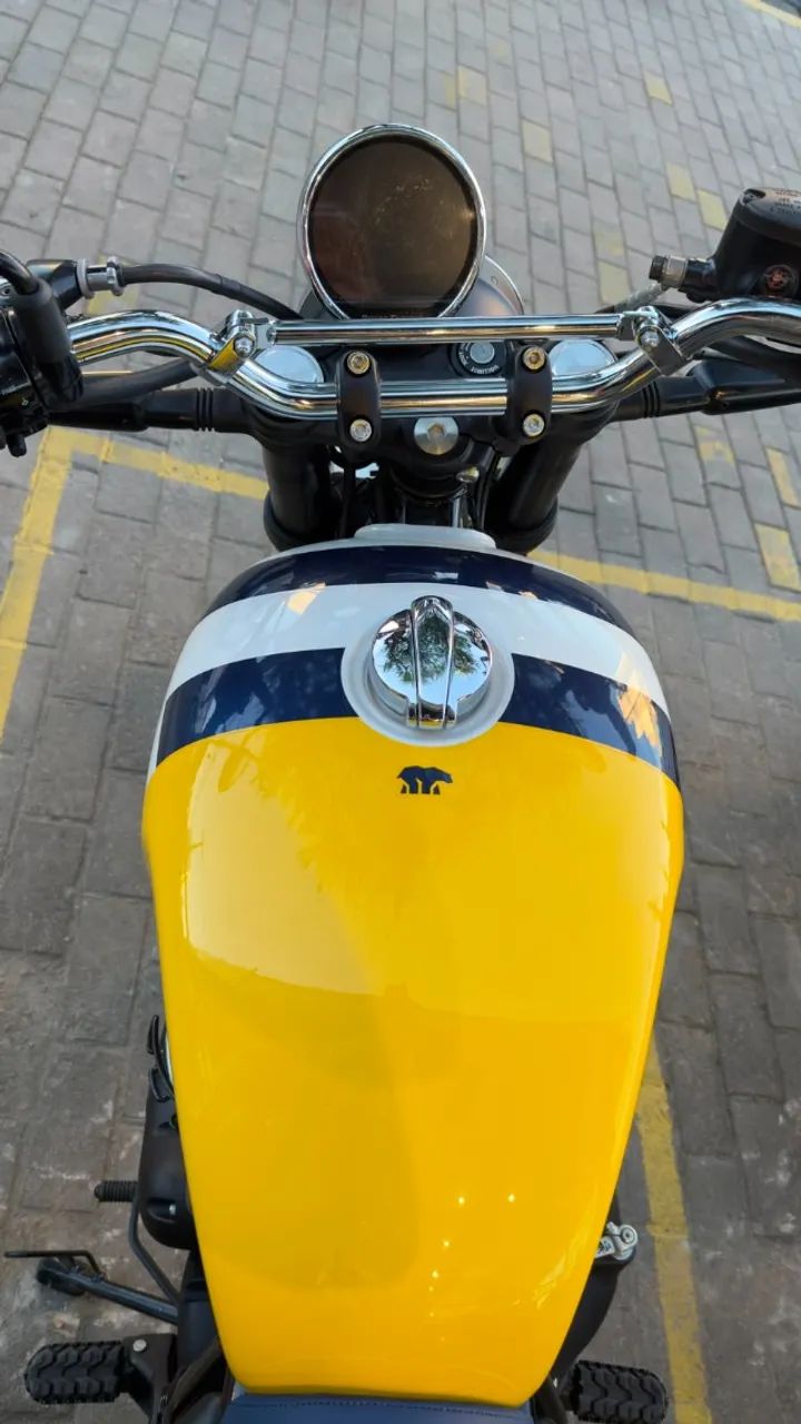BEAR 650 WILD HONEY - Foto 5