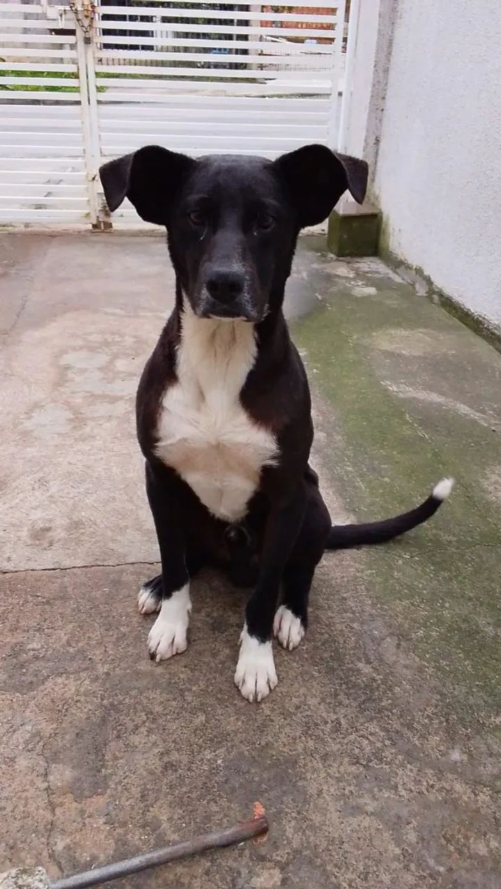 Doação responsável 