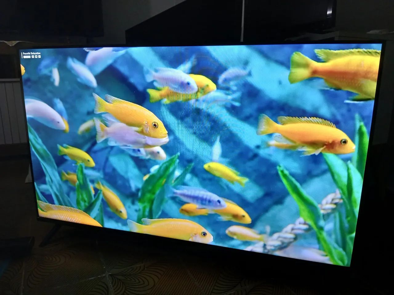 Oportunidade Tv 43 Poledas  wifi  comando voz BLUETOOTH ZERA 