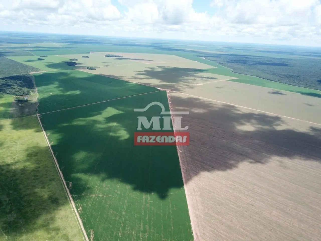 Fazendão em Canarana-MT. (7.830 Hectares)