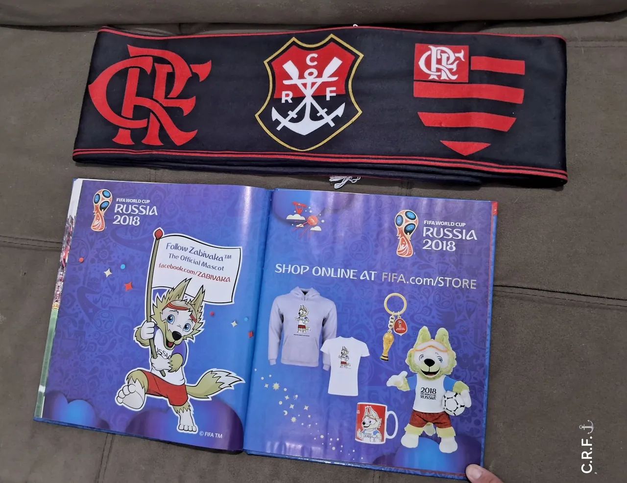 3 Álbuns de Copas do Mundo: Rússia e Brasil  - Foto 4