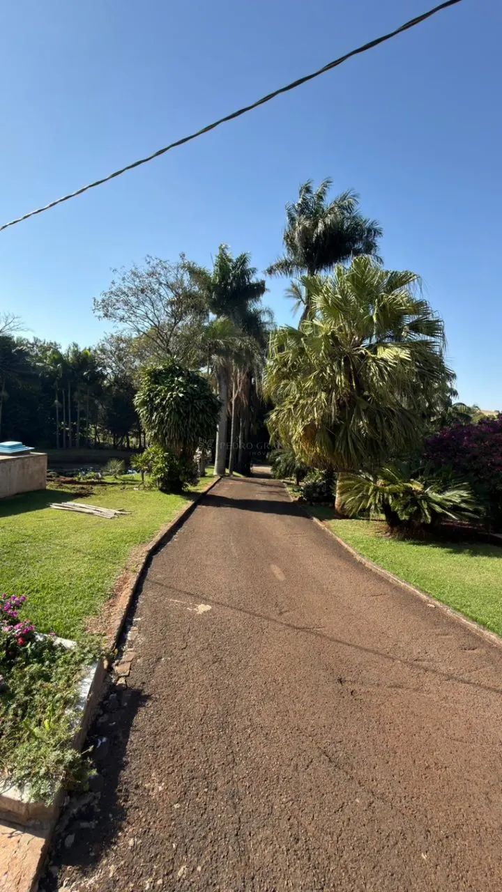 Sítio produtor de uva em Mandaguari - Foto 5
