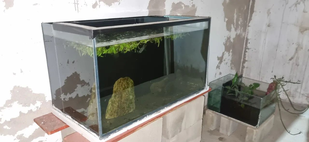 Vende se aquário 225 litros 