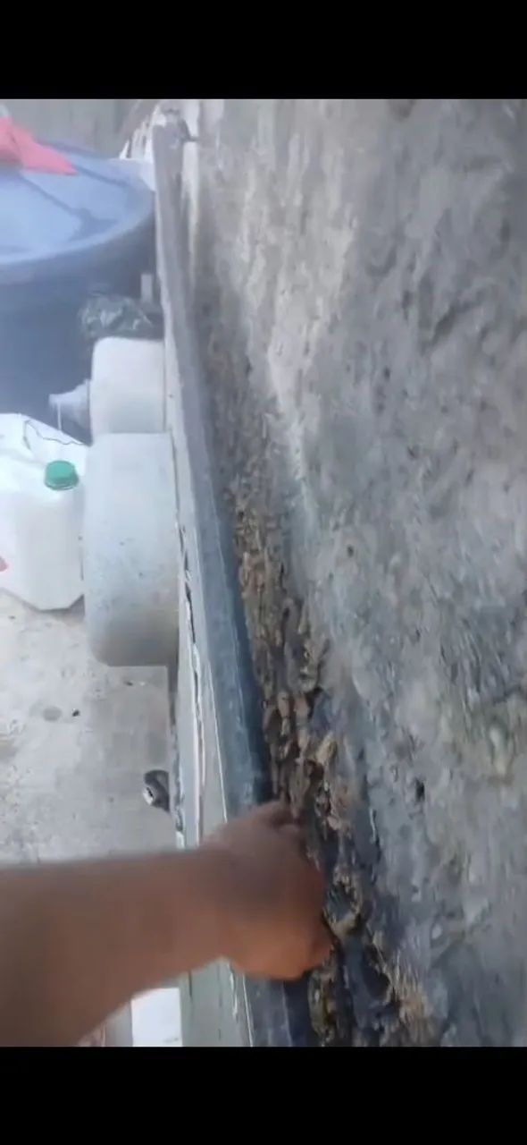 Pia de cozinha com 2 cubas