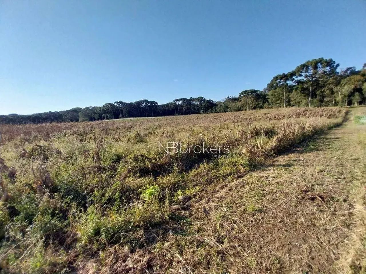 CHACARA /SJP/ NHOAIVA - Foto 3
