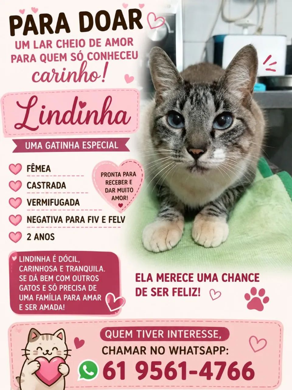 Doação  responsável 