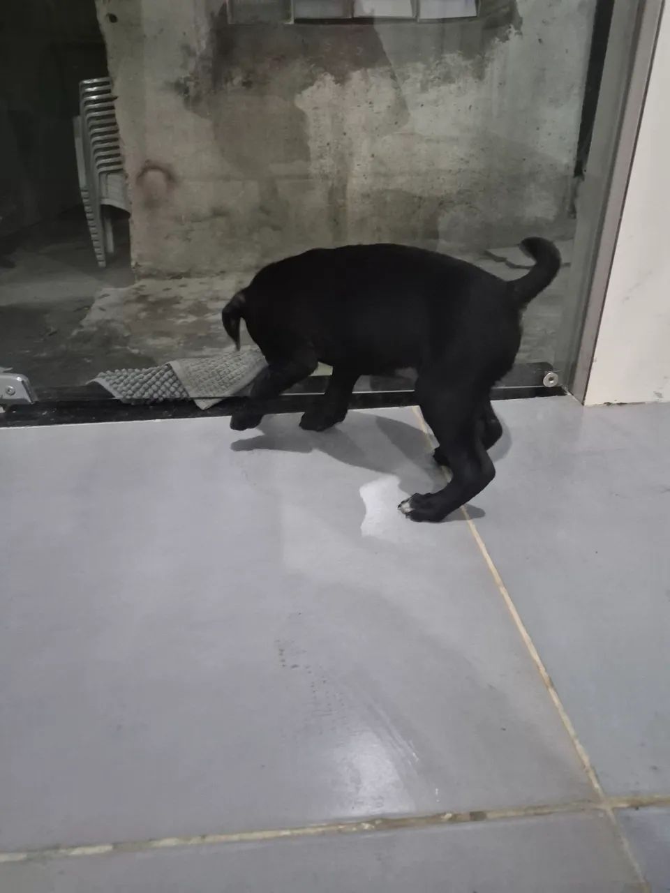 Doação  - Foto 4
