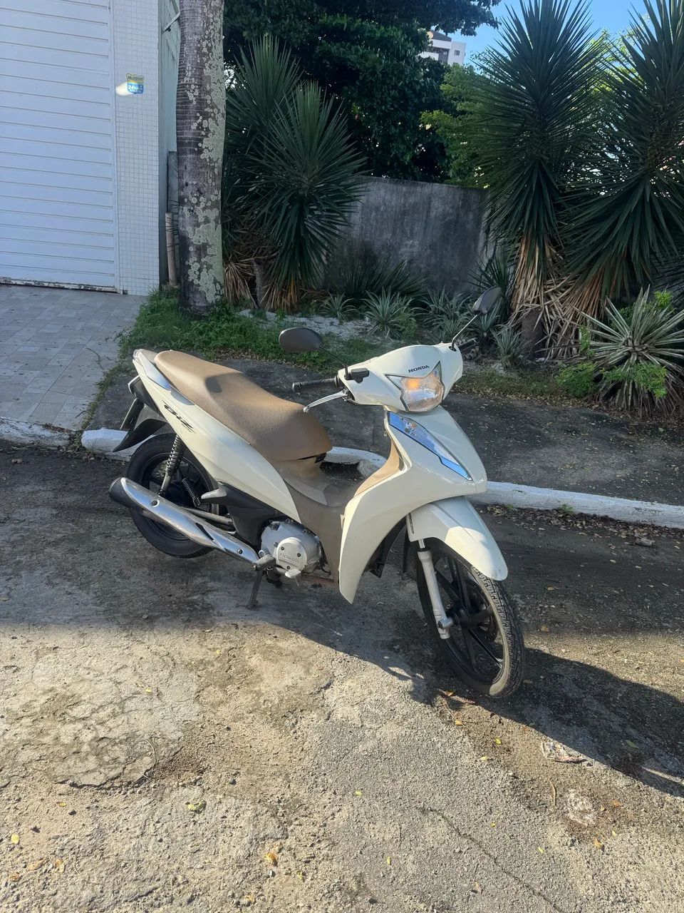 Biz 125 2019 flex