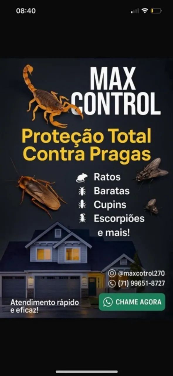 Serviço de dedetização 