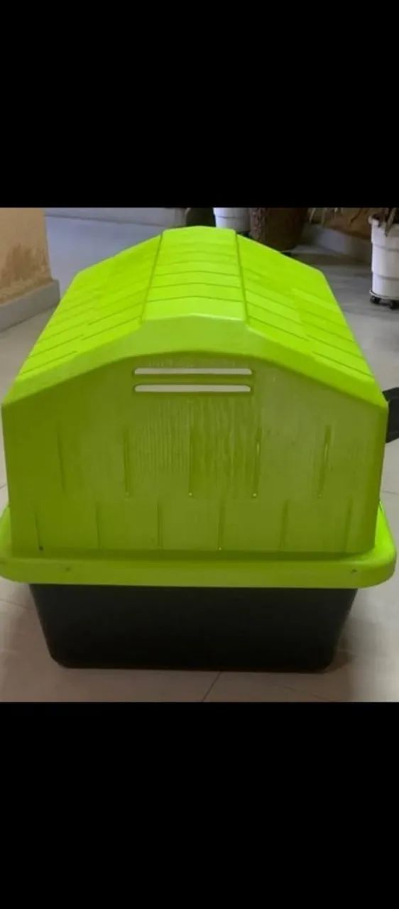 CASINHA DE CACHORRO 