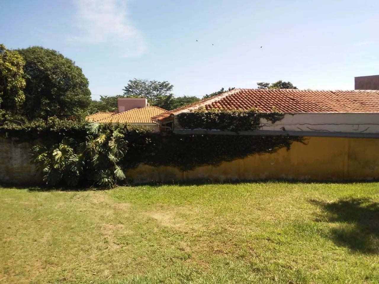terreno - Parque Xangrilá - Campinas - Foto 3