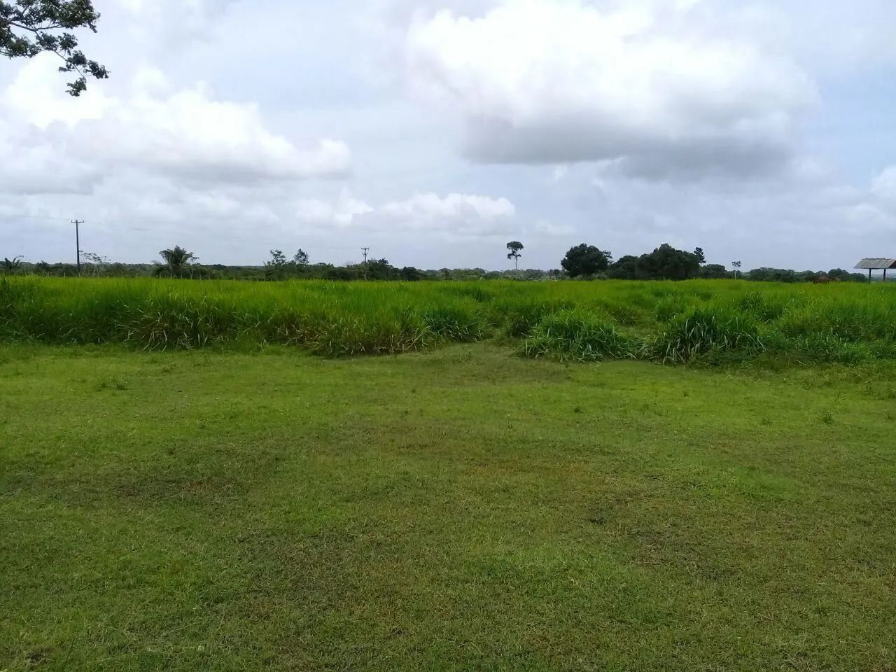 VENDO FAZENDA.   - Foto 3