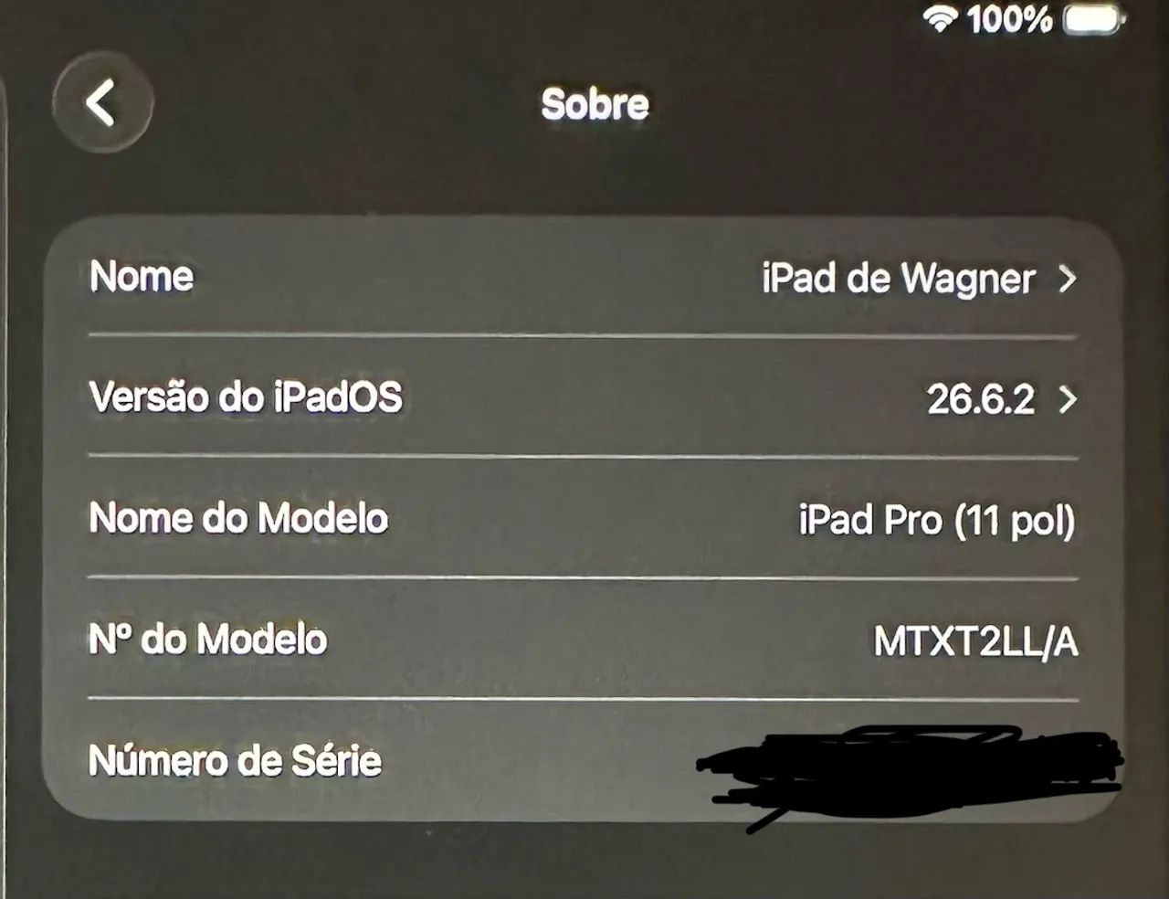 iPad Pro 512GB + Apple Pencil 2  - Foto 3