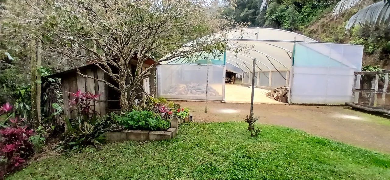 Sítio são Bento uraina 2 Alqueires  - Foto 5