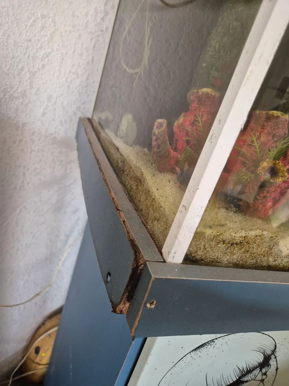 Aquário 125l - Foto 4