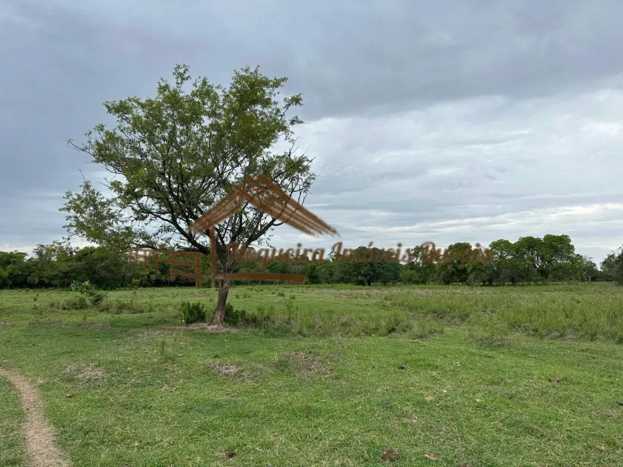 Sitio com 14 alqueires na região de Porangaba/SP - Foto 4