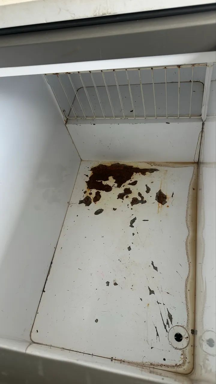 Freezer  - Foto 5