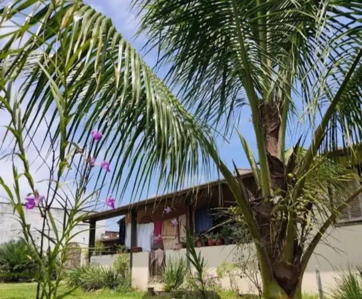 Foto - Angra dos Reis - Parque Mambucaba (Mambucaba)