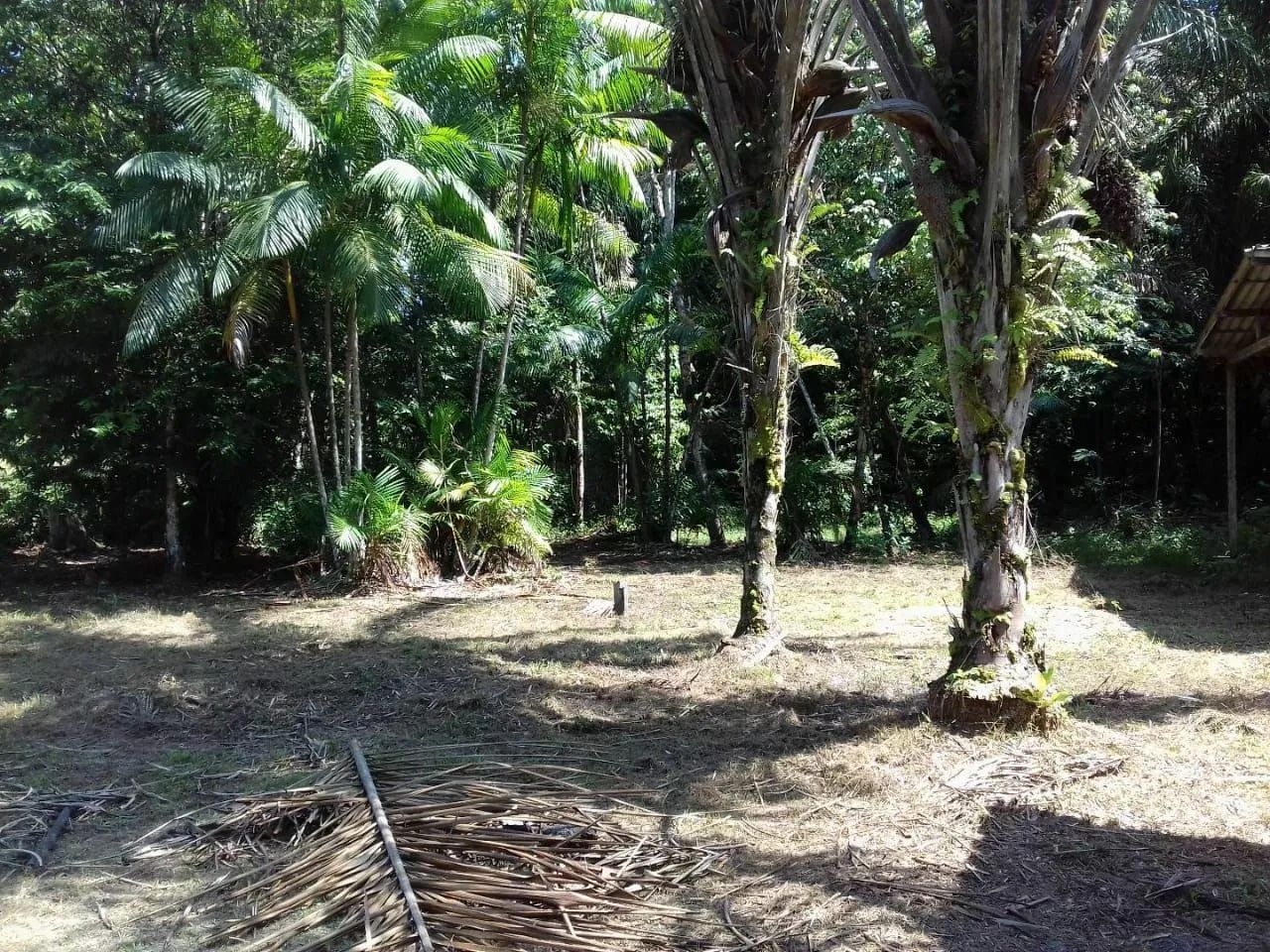 Lotes em Cotijuba  - Foto 5