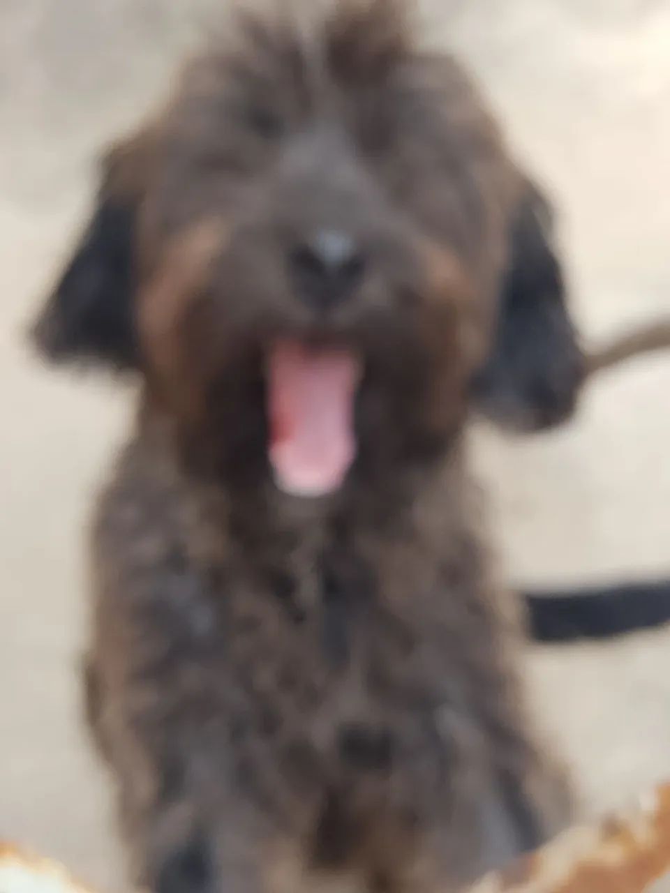 Estou doando  - Foto 4