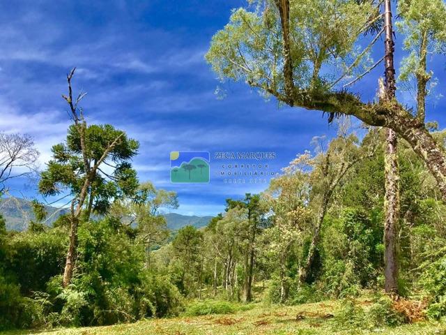Terreno 2 hectares em Urubici - Foto 2
