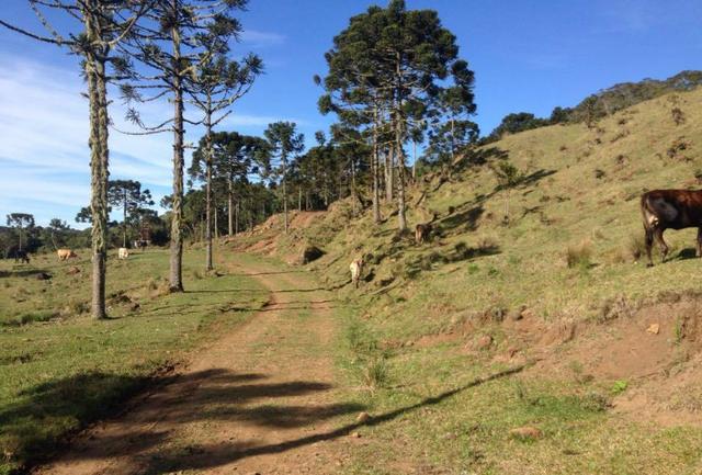 Fazenda em Urubici - SC - Foto 12