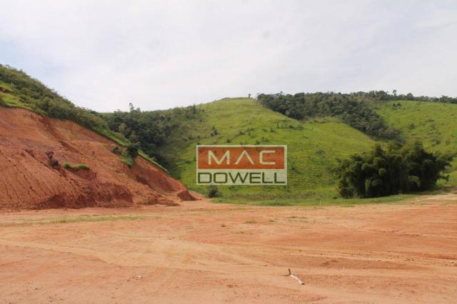 Terreno plano de 40.000 mts² em Papucaia - Foto 16